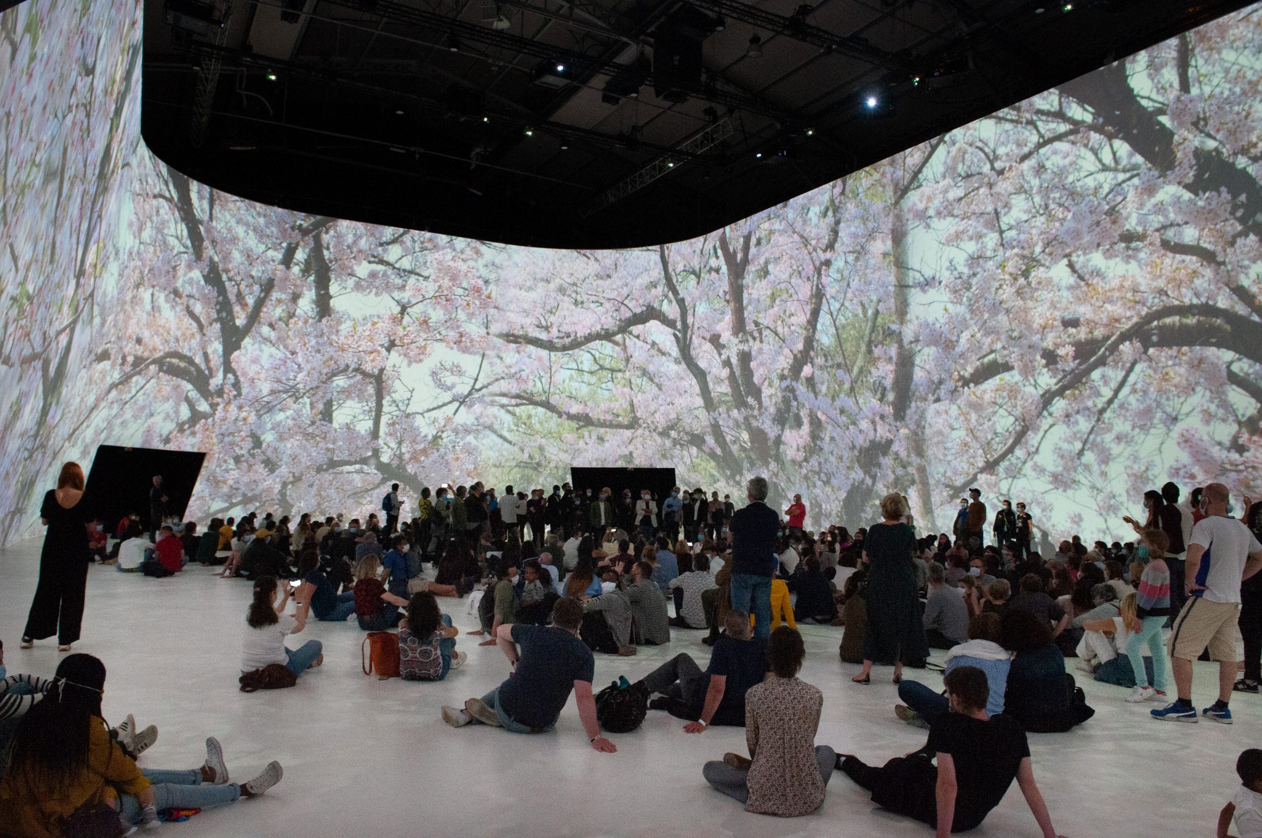 Jam Capsule 360° Immersive Experience